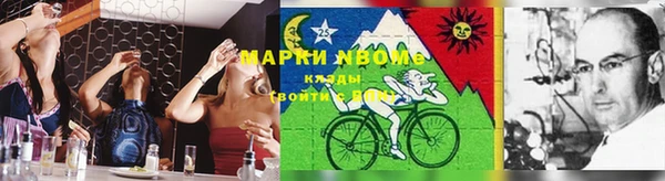 СК Надым