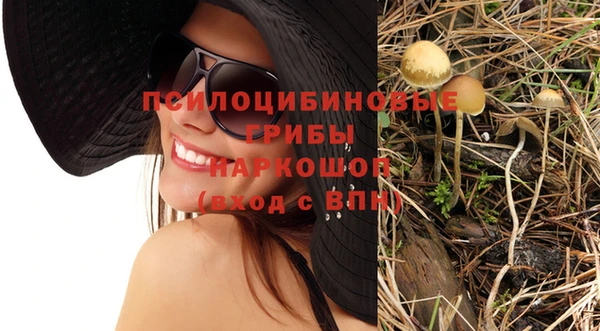 гашик Навашино