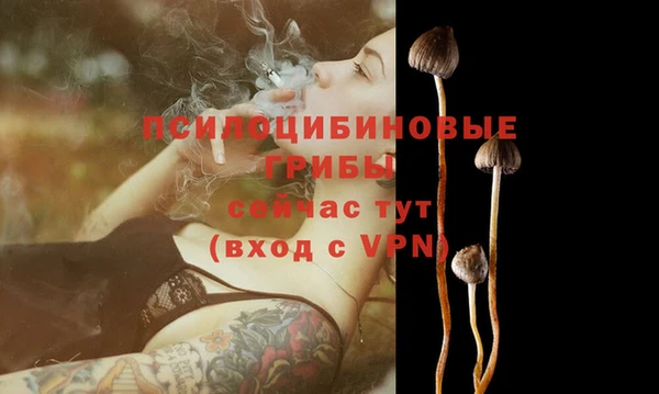 СК Надым