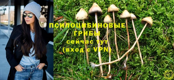 прущие грибы Уссурийск