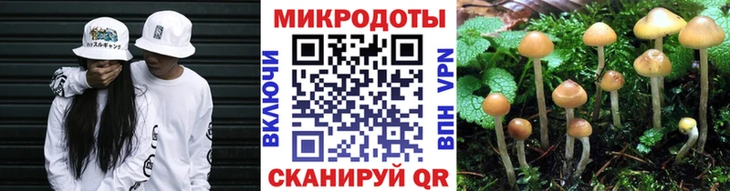 даркнет сайт  Фокино  Галлюциногенные грибы Magic Shrooms 